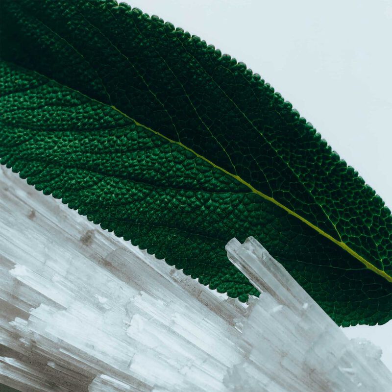 Jo Malone London Body Cr&egrave;me - Wood Sage & Sea Salt image number 1