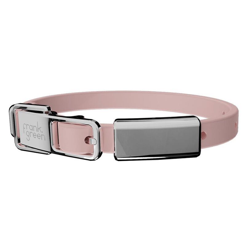 frank green Pet Collar + Name Tag - Small image number 0