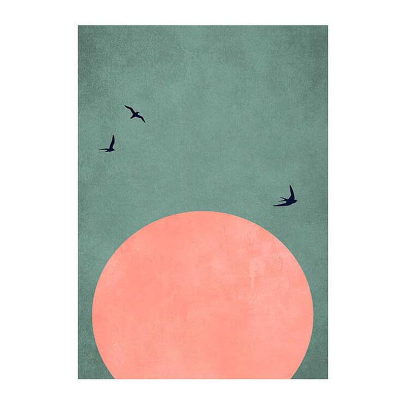 Sunset Flight A2 Framed Print, Contemporary Black Frame image number 0