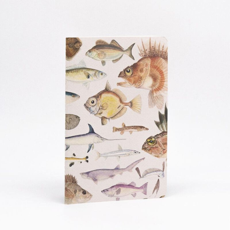 Fishes Of NZ Notebook Set image number 1