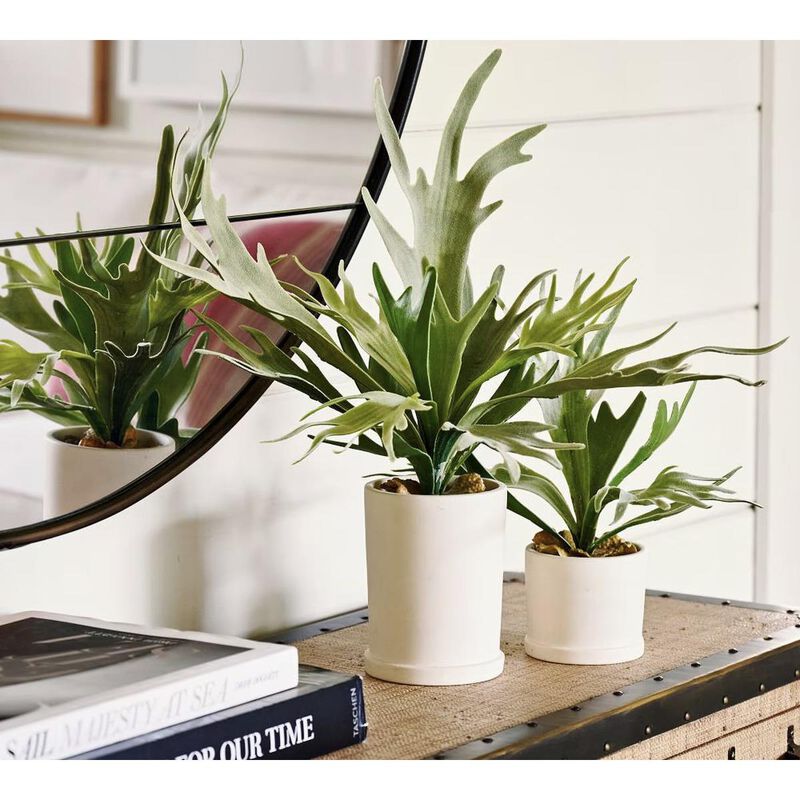 Pottery Barn Faux Potted Staghorn Medium Green image number 2