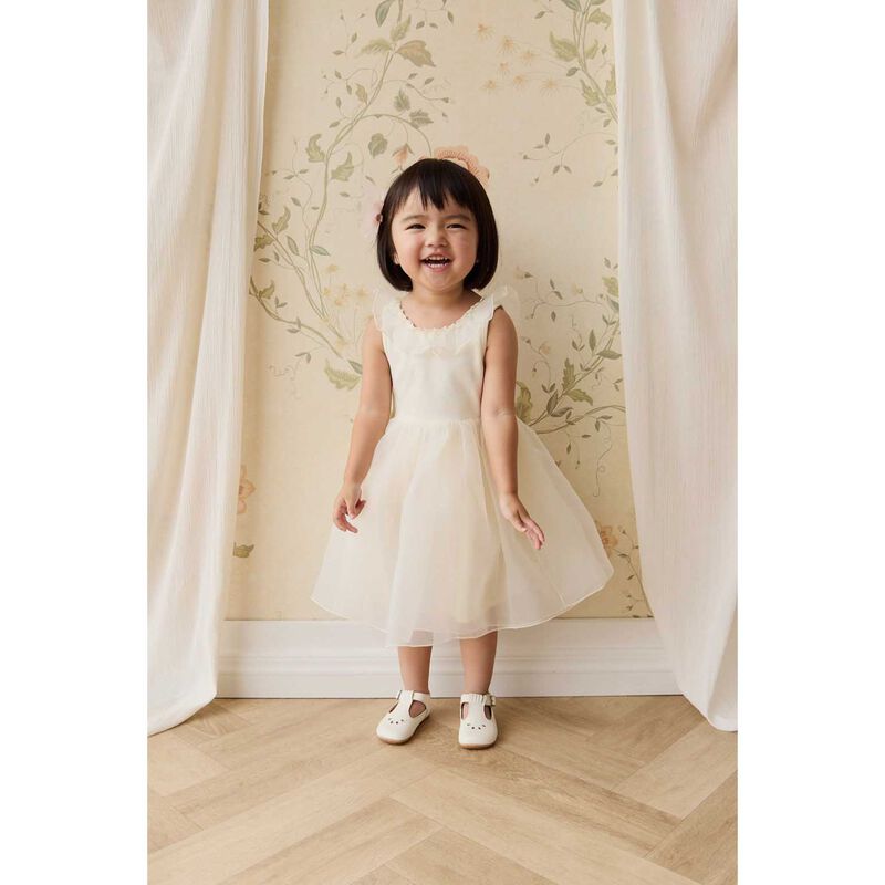 Jamie Kay Adalyn Dress 6M-2Y image number 1