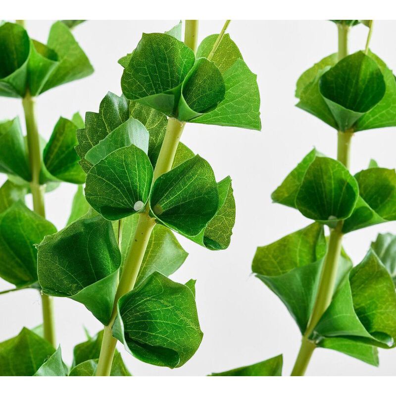 Pottery Barn Faux Bells Of Ireland Bundle Green 91cm image number 1