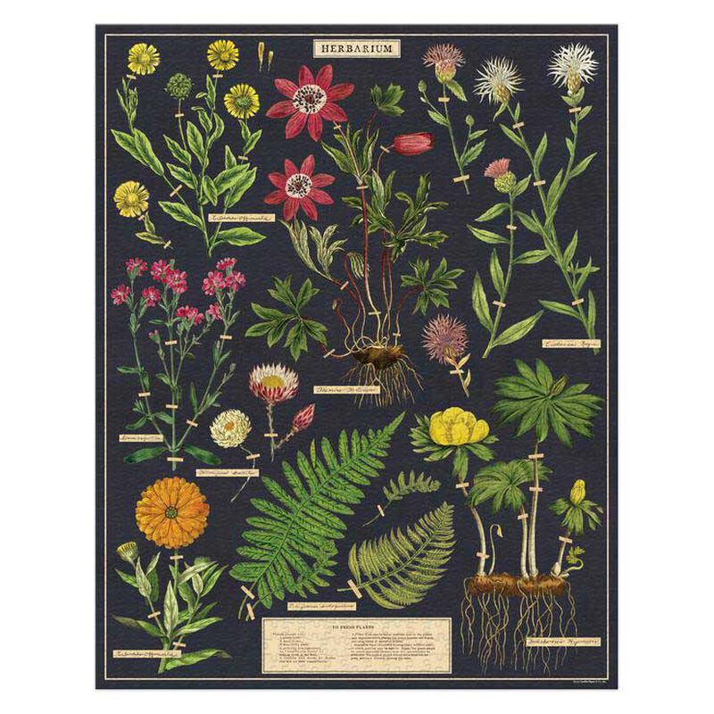 Cavallini Herbarium 1000 Pce Vintage Puzzle image number 1