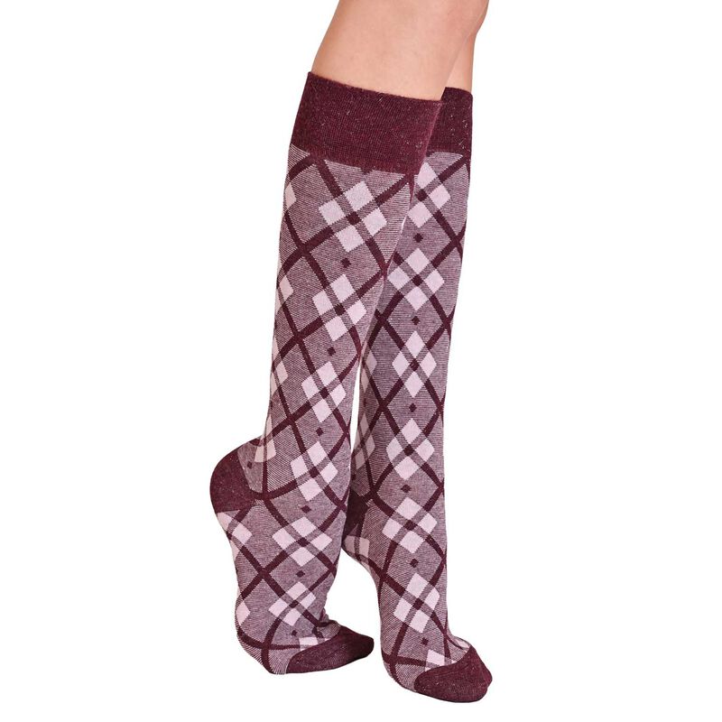 Philippe Matignon Gamb.Scotland image number 2