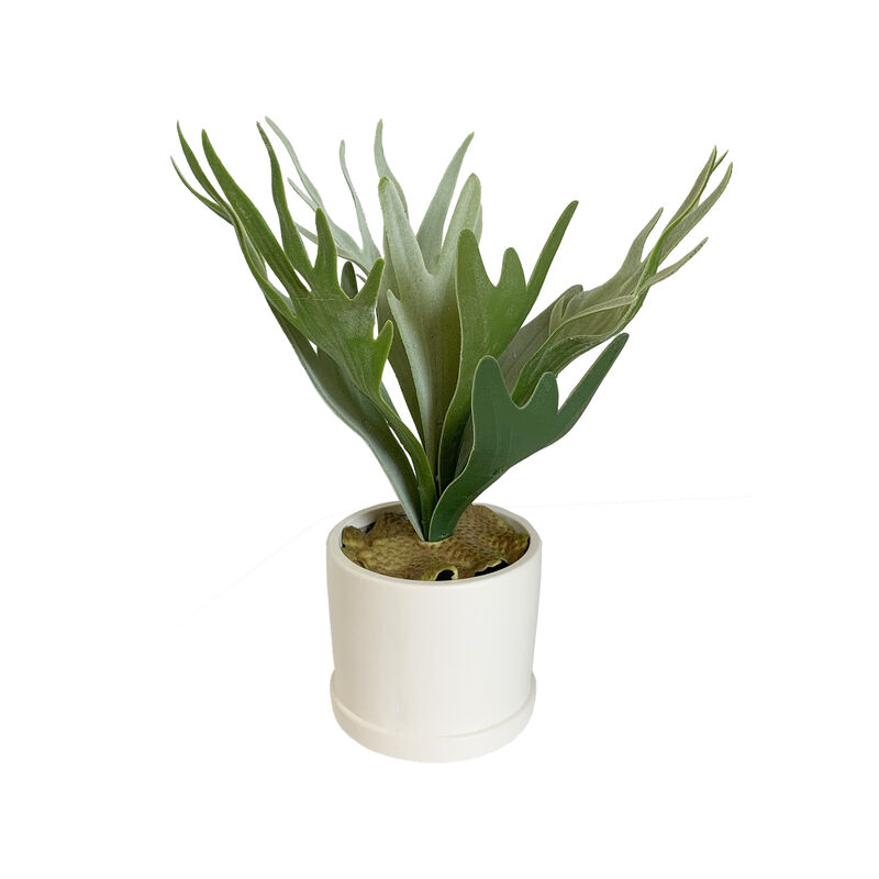 Pottery Barn Faux Potted Staghorn Small Green image number 0
