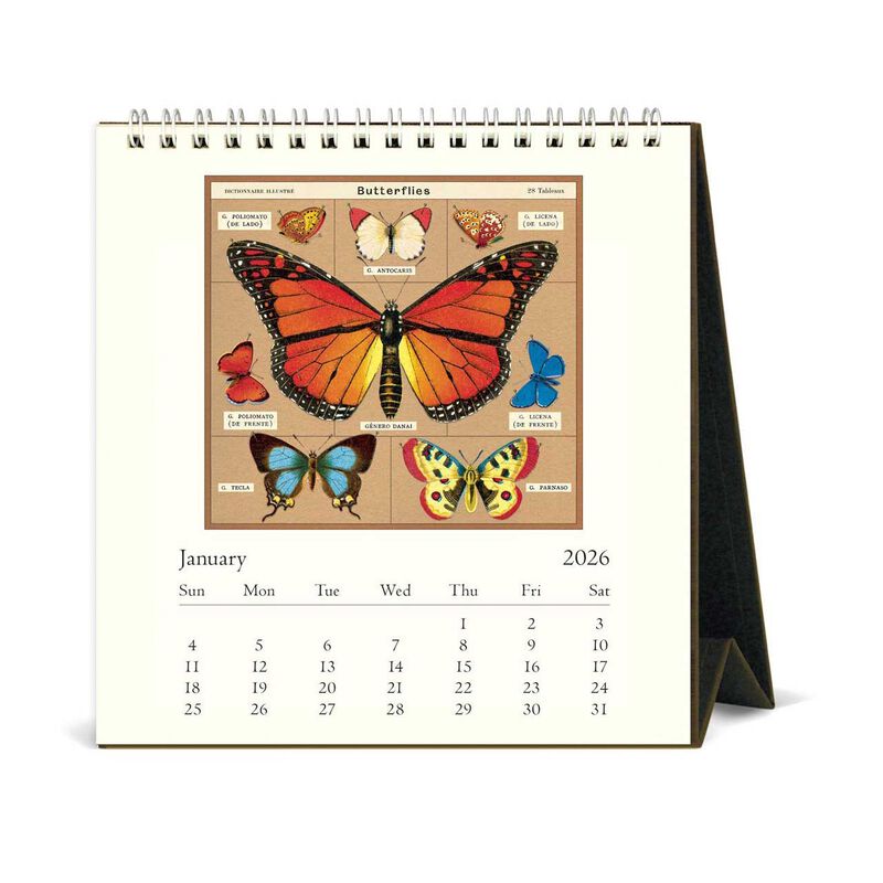 Cavallini Butterflies 2026 Desk Calendar image number 1