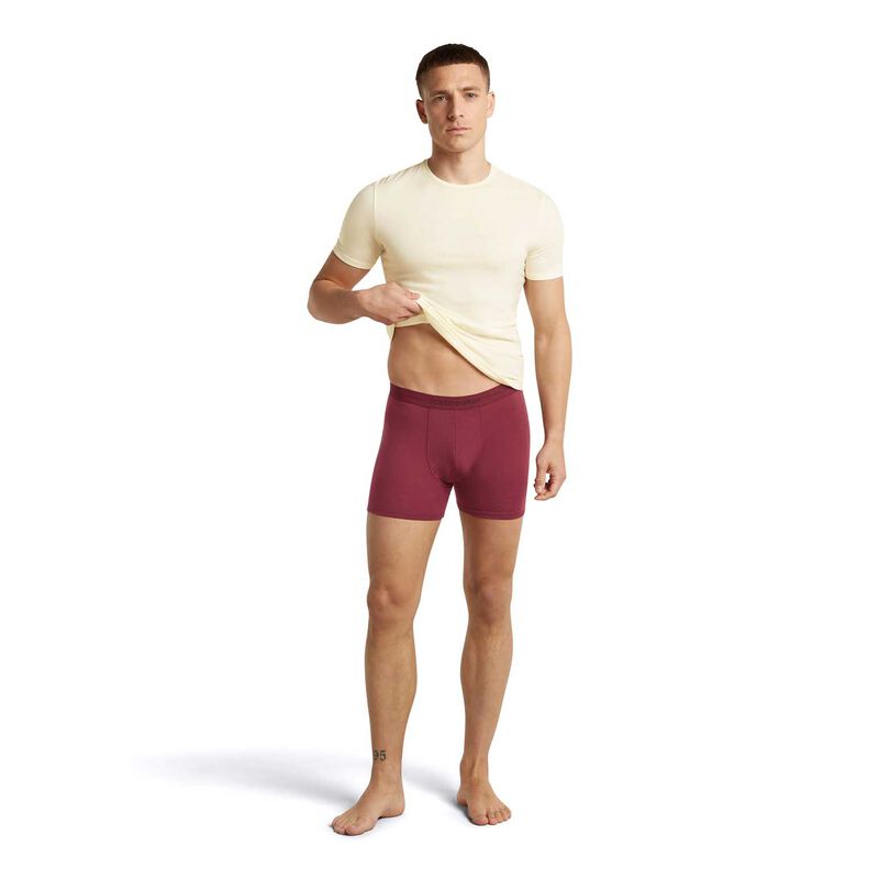Icebreaker Mens Anatomica Boxers image number 14