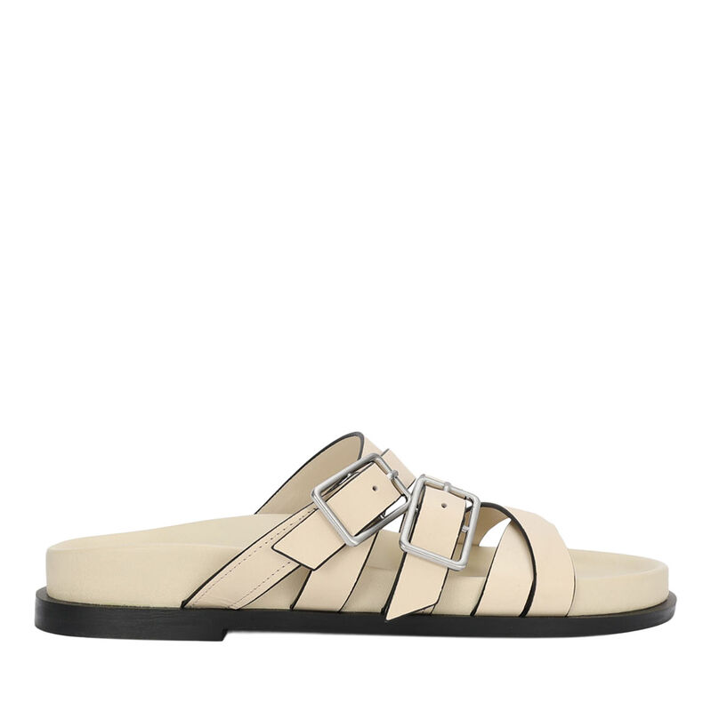 Deadly Ponies Gemini Slide image number 0