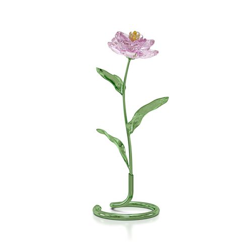 Swarovski Florere - Peony
