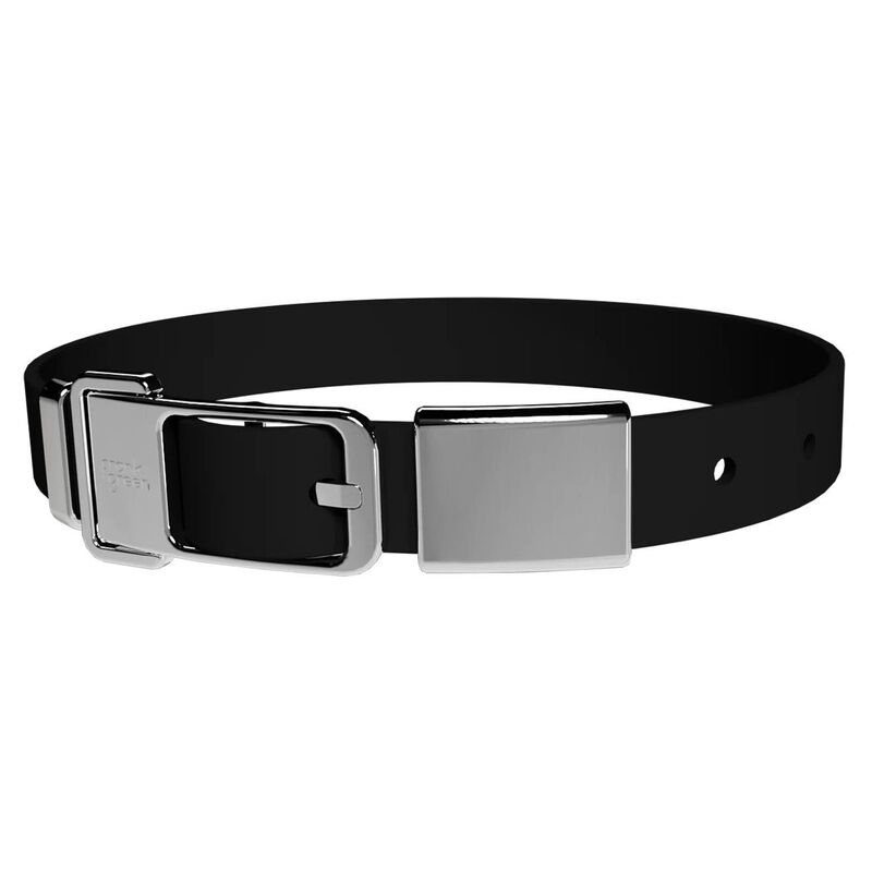 frank green Pet Collar + Name Tag - Large image number 0