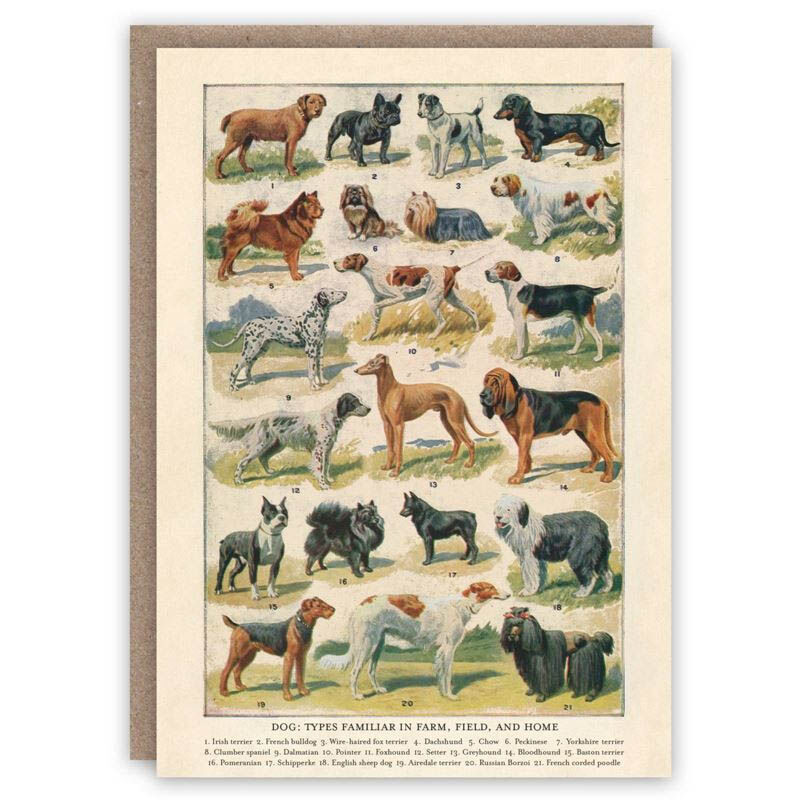 Dog Breeds Card image number 0