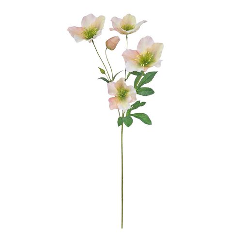 Alison's Acquisitions Full Bloom Christmas Rose Peach