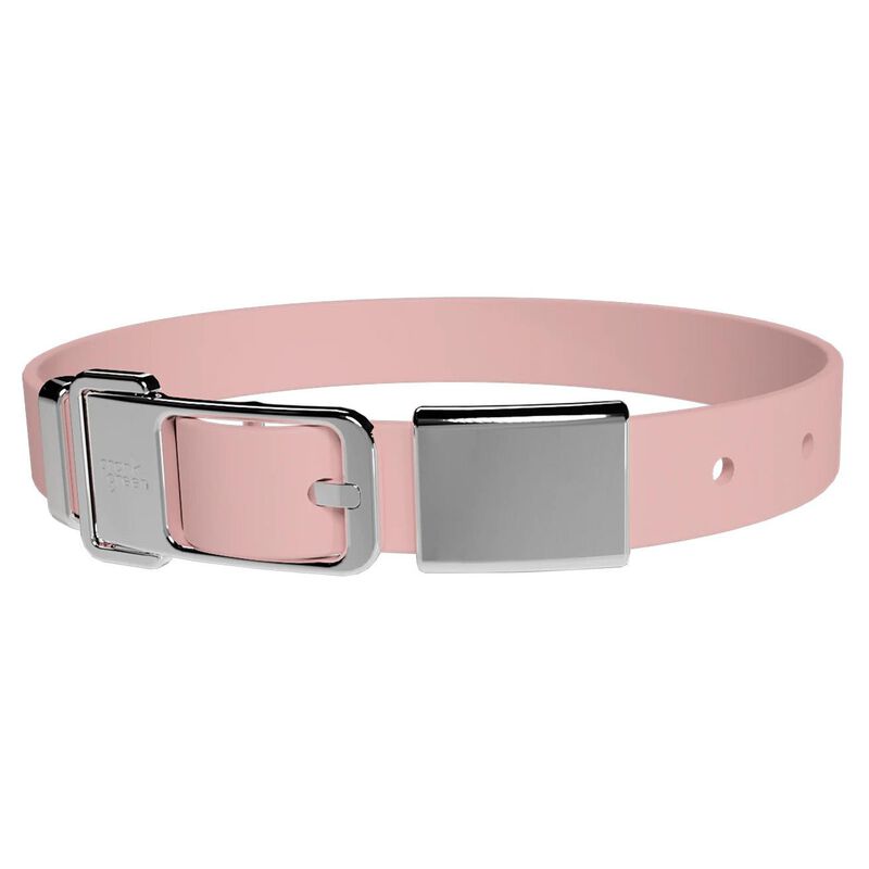 frank green Pet Collar + Name Tag - Large image number 0