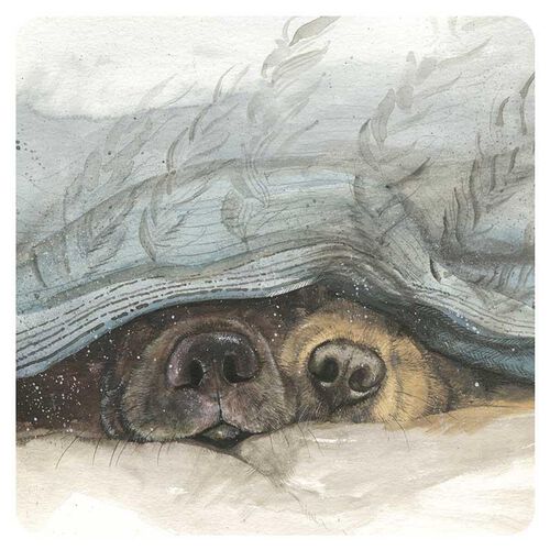 Alex Clark Snouts Coaster