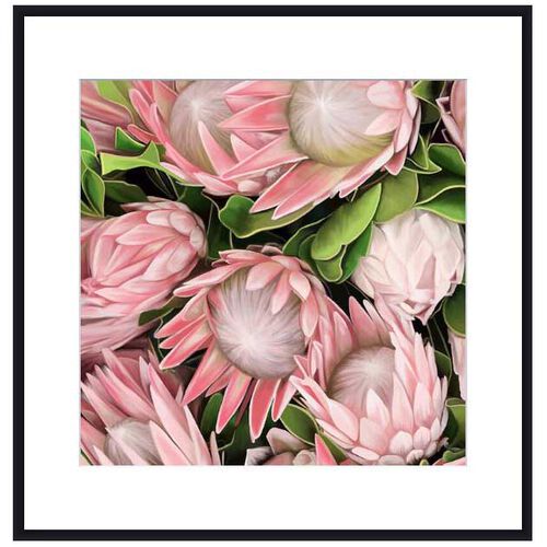 Proteas Contemporary Frame With Mattboard - Black