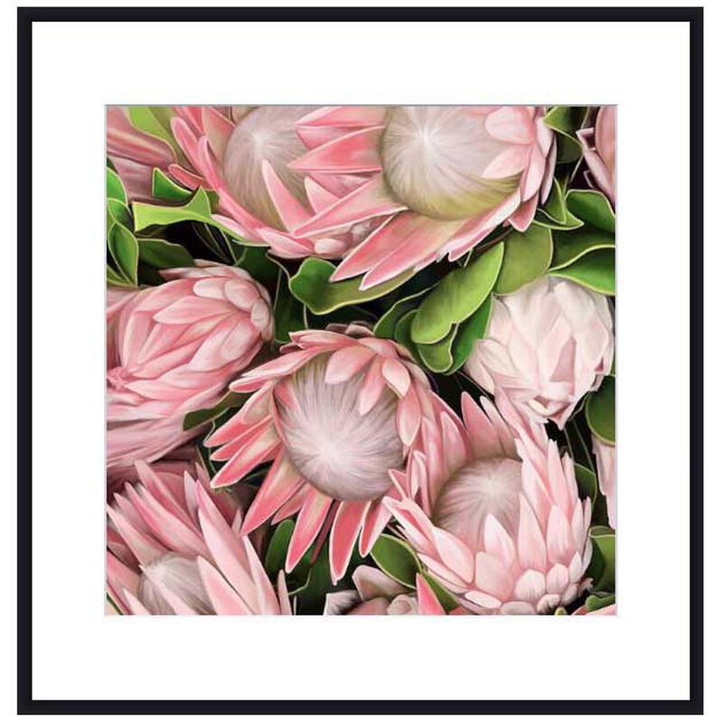 Proteas Contemporary Frame With Mattboard - Black image number 0