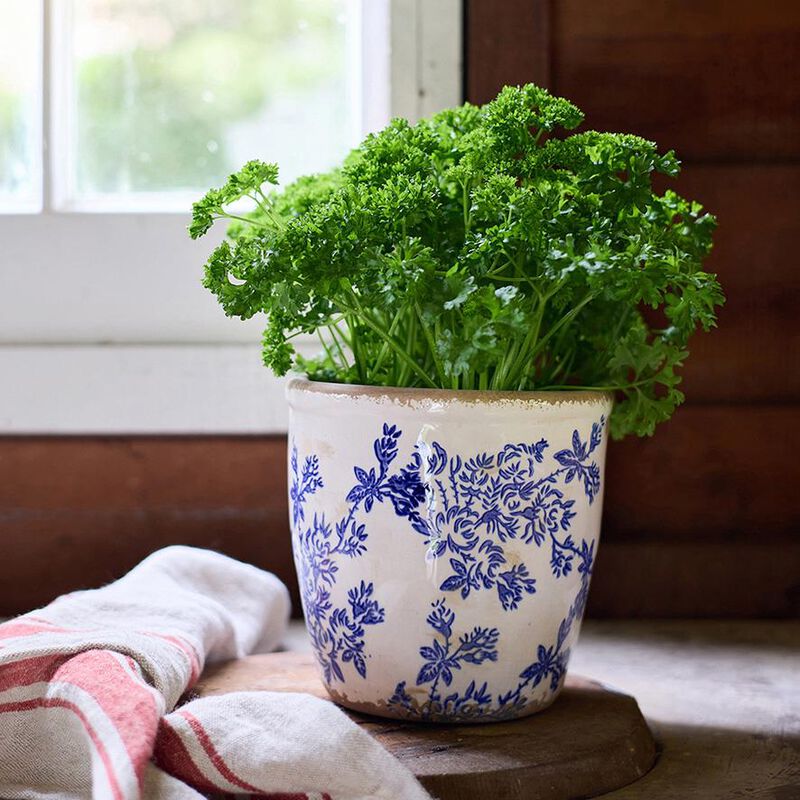 French Country Blue Floral Herb Pot Large image number 1