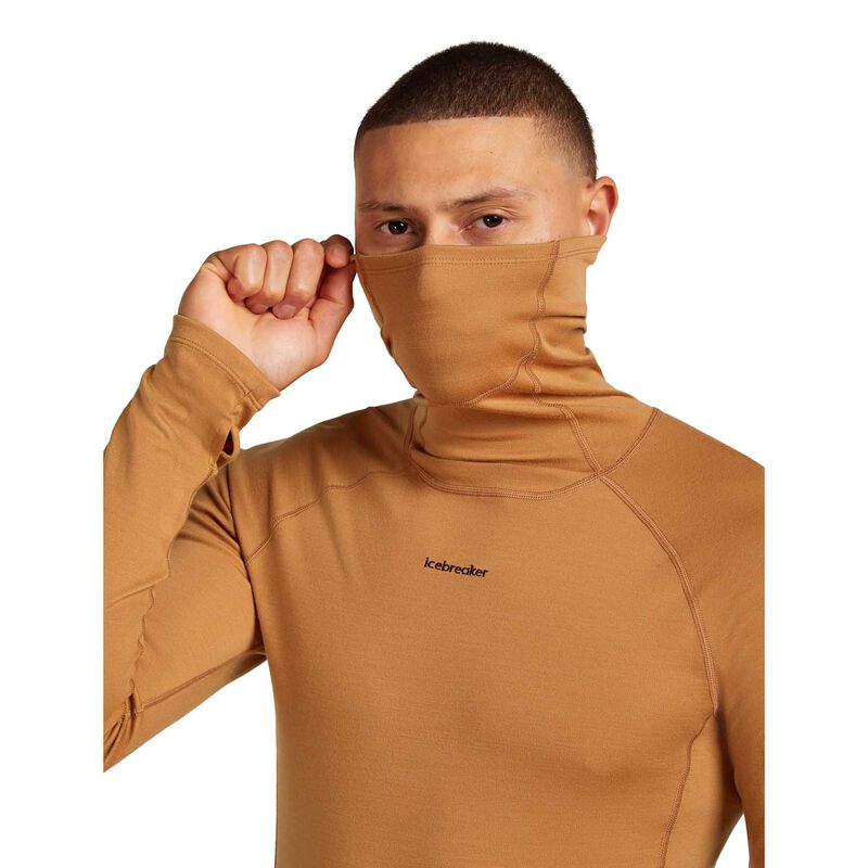 Icebreaker M 300 MerinoFine Polar LS Roll Neck image number 3