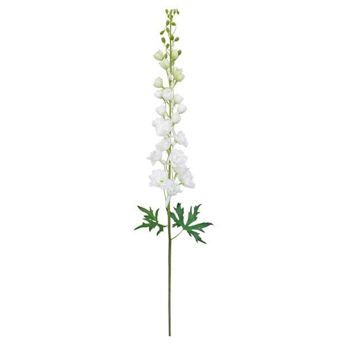Alison's Acquisitions Full Blown Delphinium White