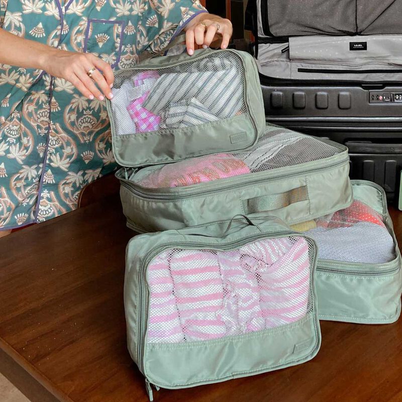 Lapoche Luggage Organiser - Small image number 3