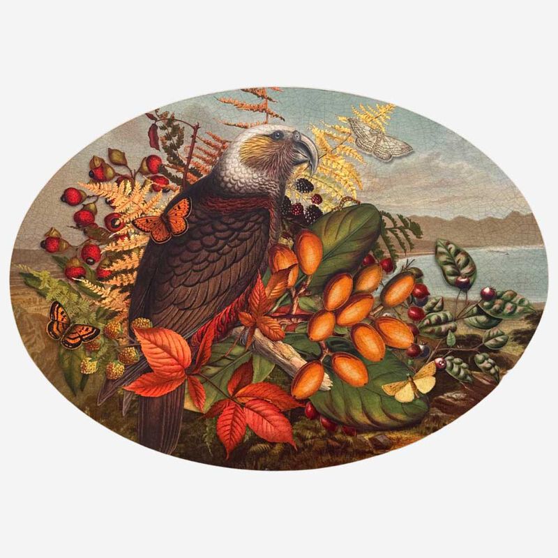 Tanya Wolfkamp Oval Placemat Set Of 4 - Vintage Birds image number 3