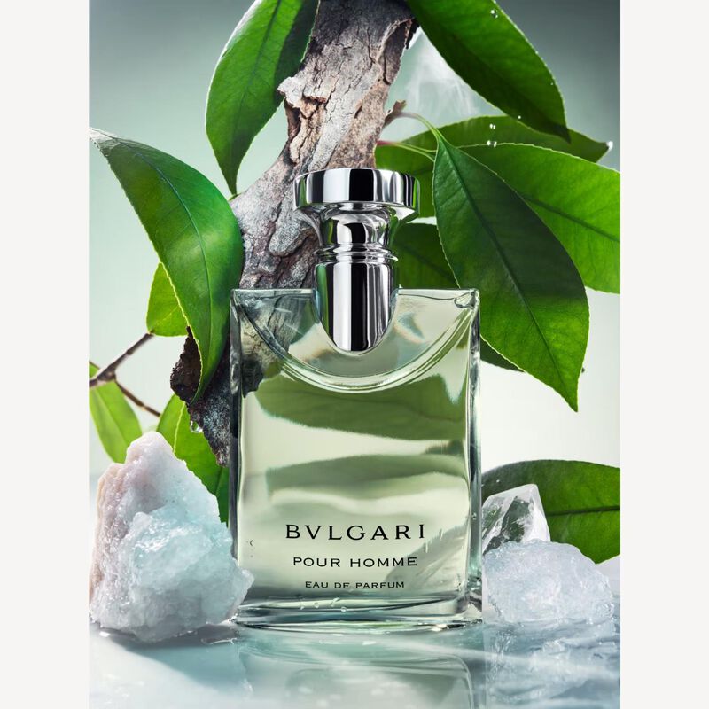 Bvlgari Pour Homme EDP 100ml image number 2