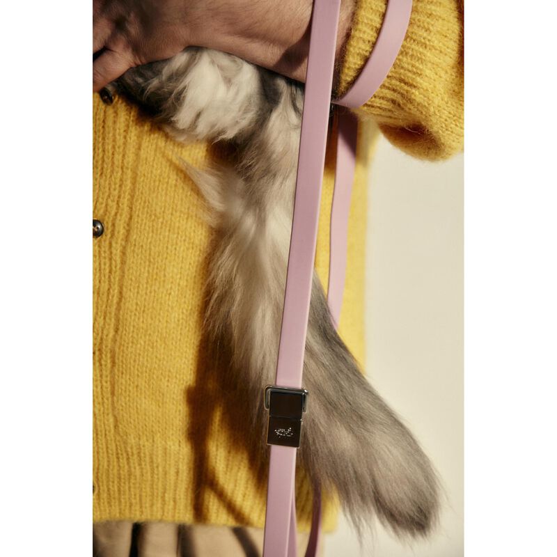 frank green Pet Leash (Base & Handle) Blushed image number 1
