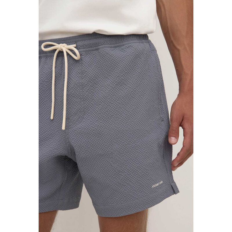 Assembly Label Seth Swim Short Ashphalt image number 2