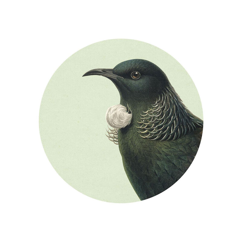 Hushed Green Tui Art Spot Small image number 0