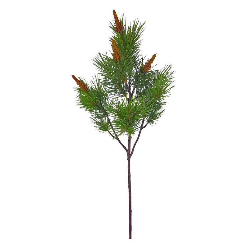 Large Budding Pinecone Branch image number 0