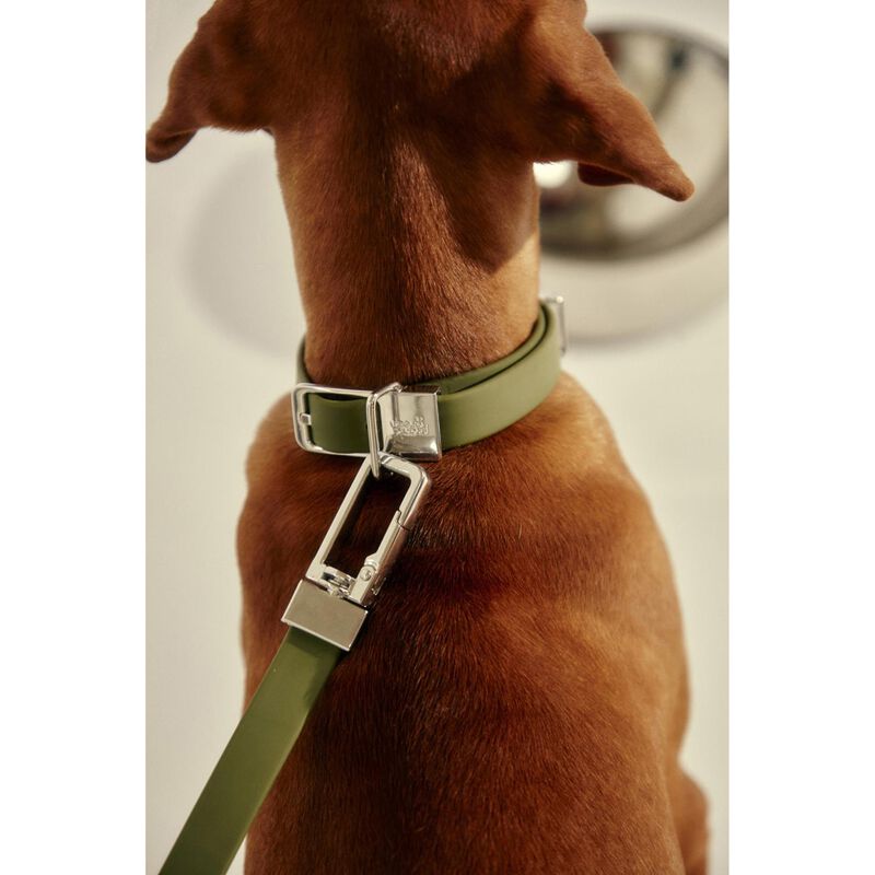 frank green Pet Leash (Base & Handle) image number 1
