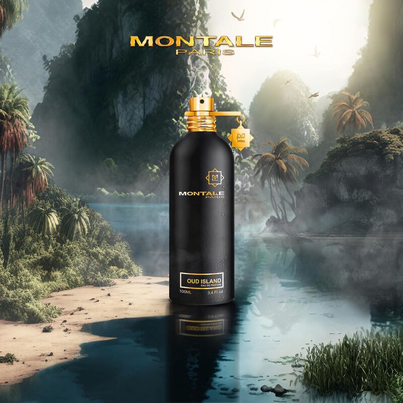 Montale Oud Island Eau De Parfum 100ml image number 1