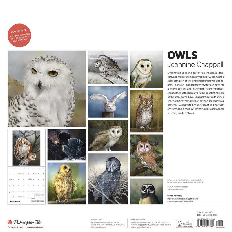 Pomegranate Owls Wall Calendar 2027 image number 2