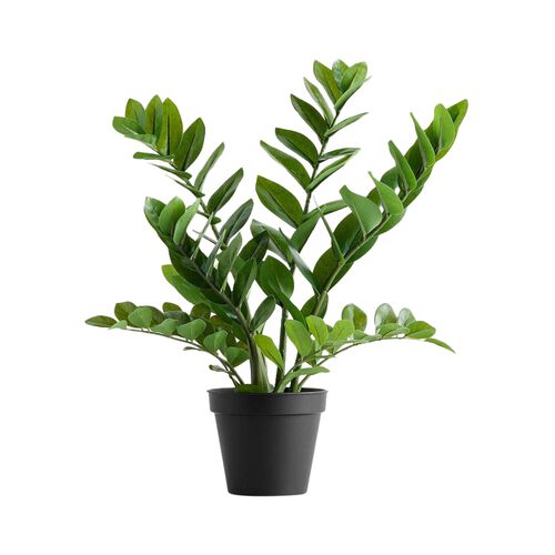 Pottery Barn Faux Potted ZZ Plant