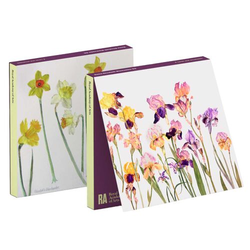 Art Press Irises & Daffodils Notecards 6 Pack