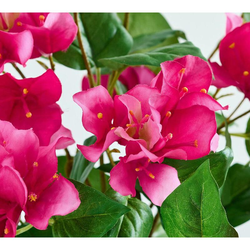Pottery Barn Faux Bougainvillea Flower Collection Pink 122cm image number 1