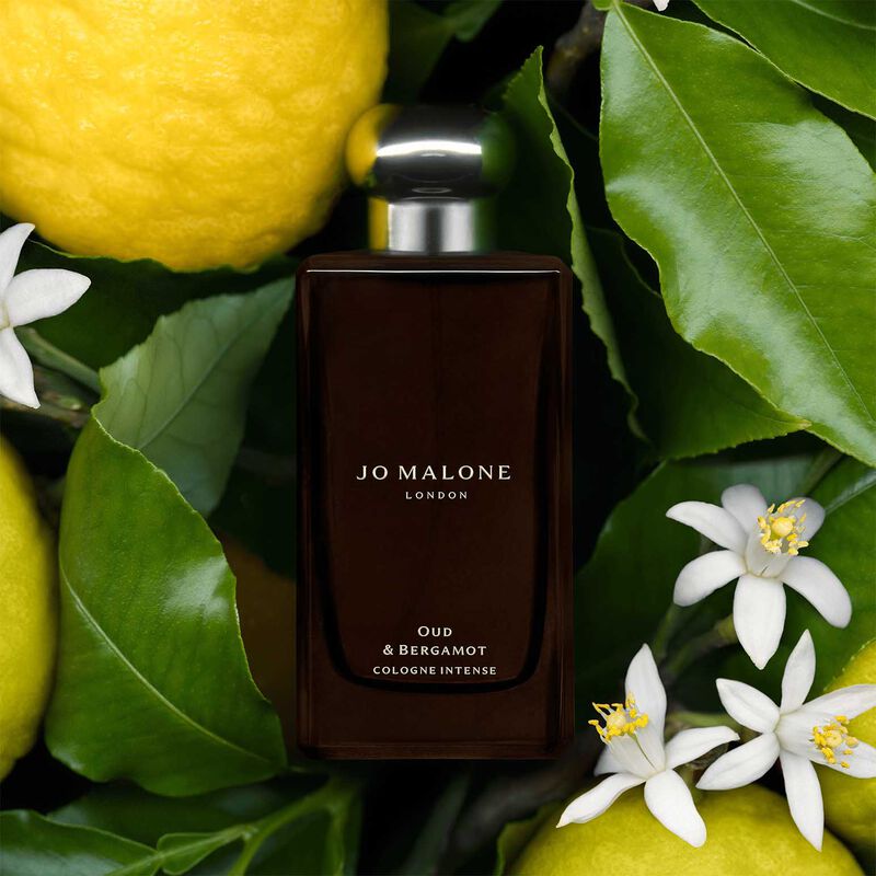 Jo Malone London Oud & Bergamot Cologne Intense 30ml image number 2