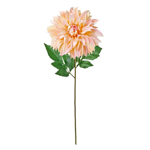 Alison's Acquisitions Café Au Lait Dahlia Peach