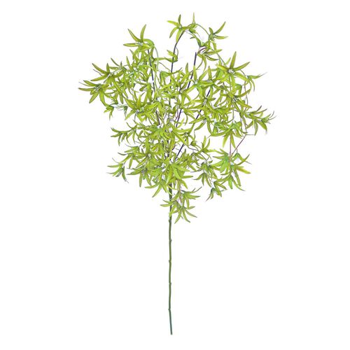 Alison's Acquisitions Wild Orchid Tree