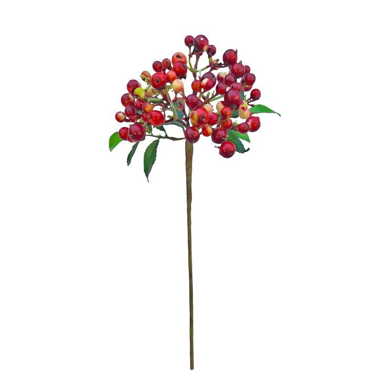 Cranberry Red 32cm image number 0