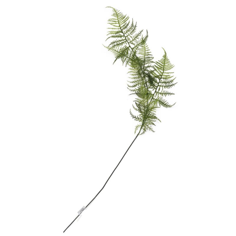 Leather Fern Spray image number 1
