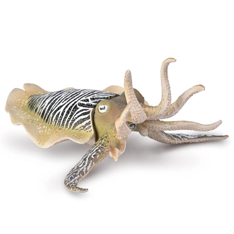 CollectA Common Cuttlefish image number 0