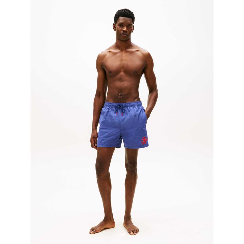Tommy Hilfiger Ithaca Stripe Mid Length Swim Shorts image number 3