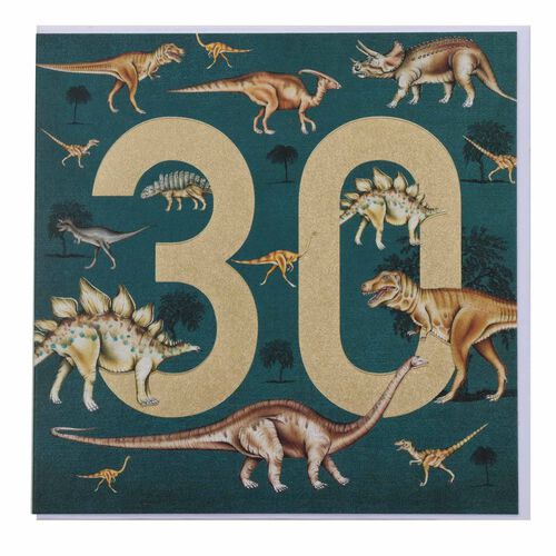 Museums & Galleries Dinosaurs 30 Card