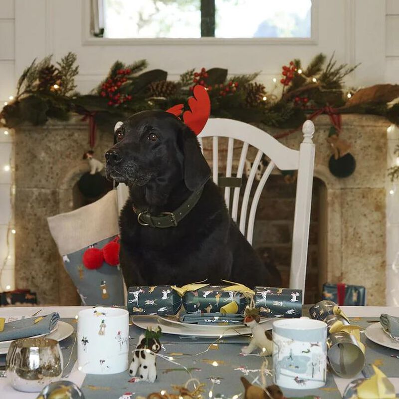 Sophie Allport Christmas Dogs Mug image number 3