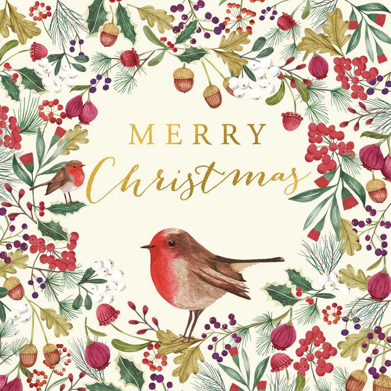 Image Gallery Robin Christmas Card Lux Box of 8 image number 0