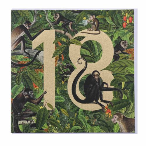 Museums & Galleries Monkeys 18 Card