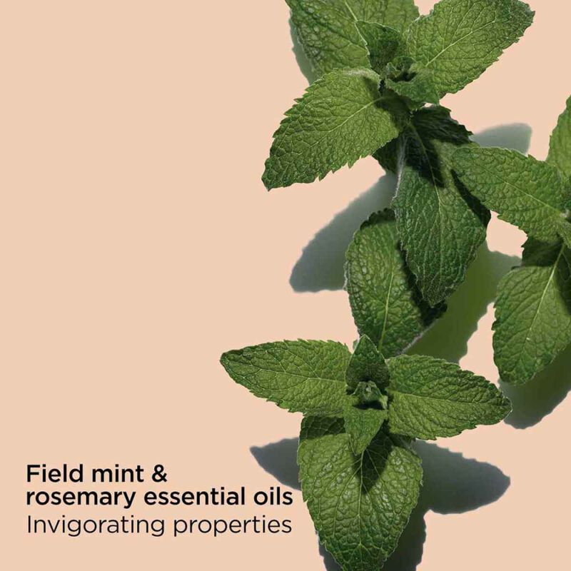 Clarins Tonic Body Balm 200ml image number 2