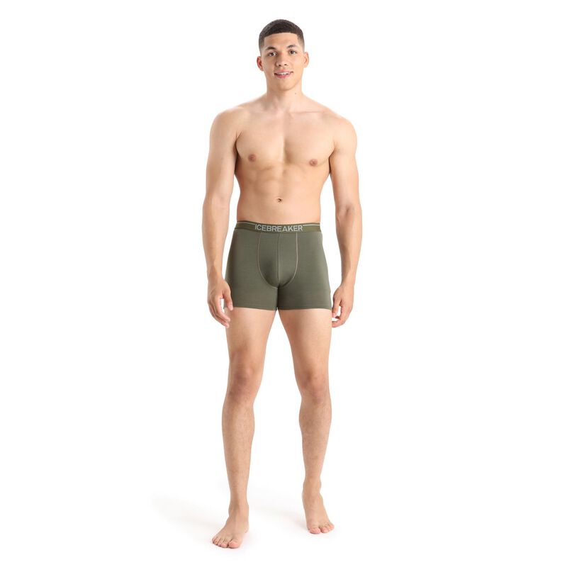 Icebreaker Mens Anatomica Boxers image number 19